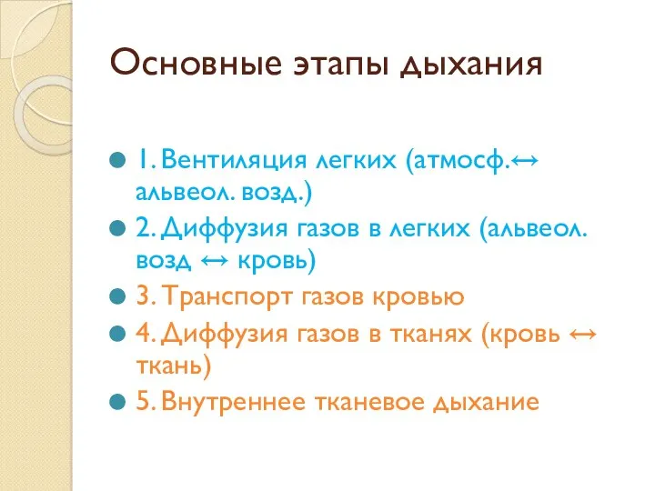 Основные этапы дыхания 1. Вентиляция легких (атмосф.↔ альвеол. возд.) 2.