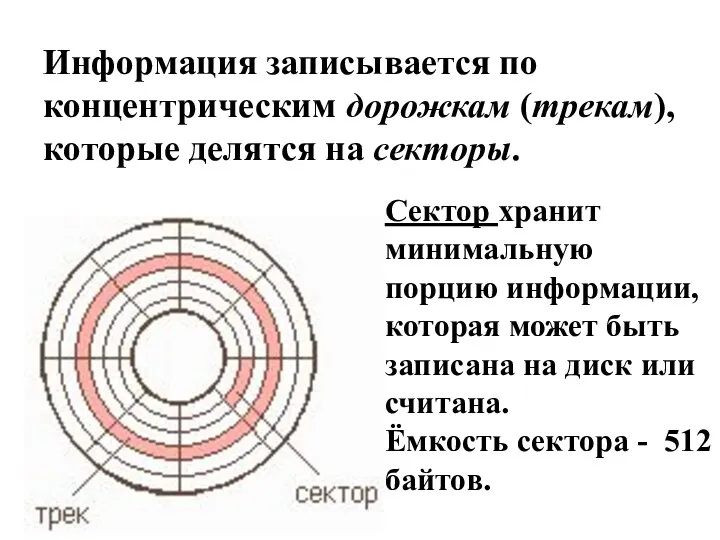 Информация записывается по концентрическим дорожкам (трекам), которые делятся на секторы. Сектор хранит минимальную