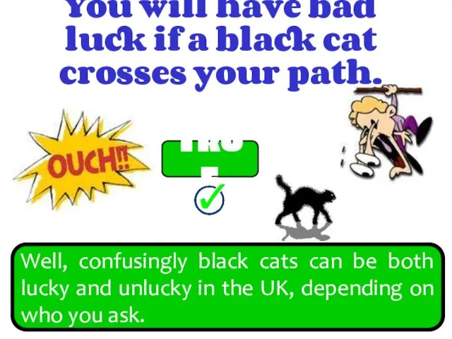 You will have bad luck if a black cat crosses