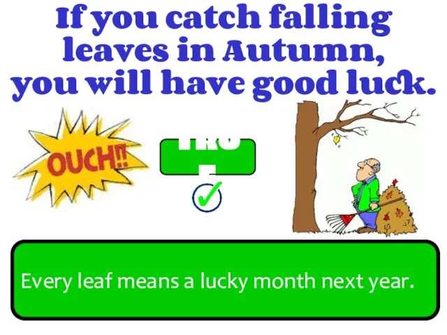 FALSE TRUE If you catch falling leaves in Autumn, you