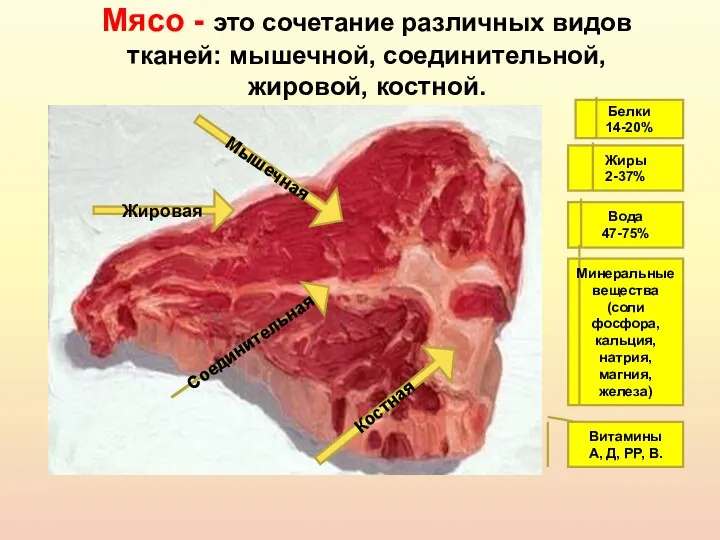 Мясо - это сочетание различных видов тканей: мышечной, соединительной, жировой,