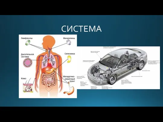 СИСТЕМА