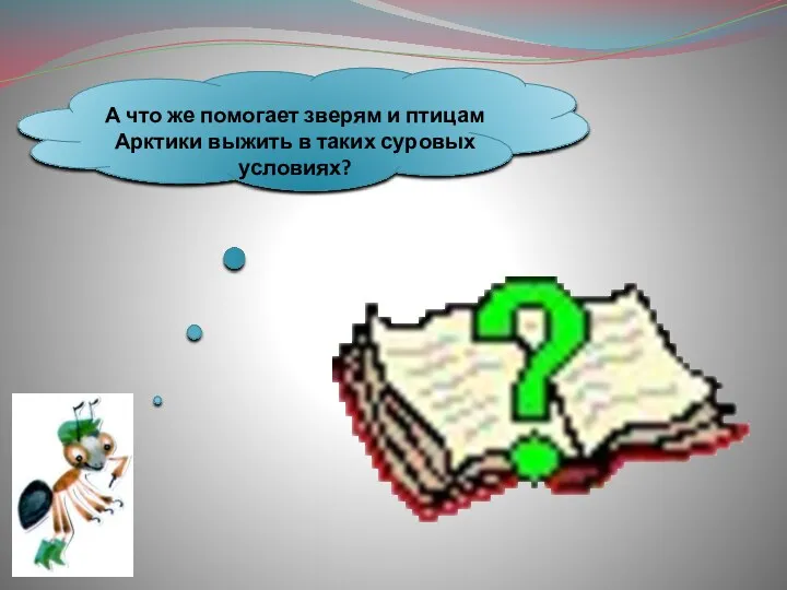 А что же помогает зверям и птицам Арктики выжить в таких суровых условиях?