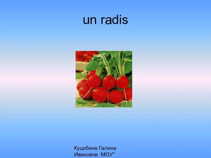 Куцобина Галина Ивановна МОУ"Алексеевская СОШ" un radis