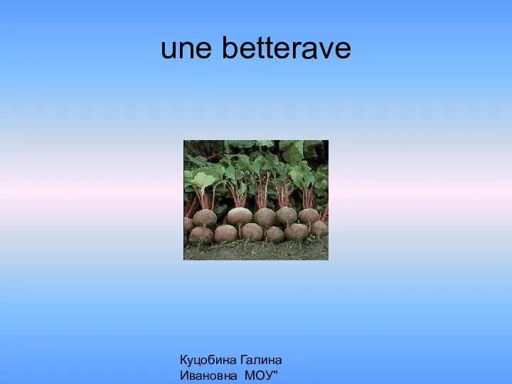 Куцобина Галина Ивановна МОУ"Алексеевская СОШ" une betterave