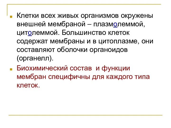 Клетки всех живых организмов окружены внешней мембраной – плазмолеммой, цитолеммой.