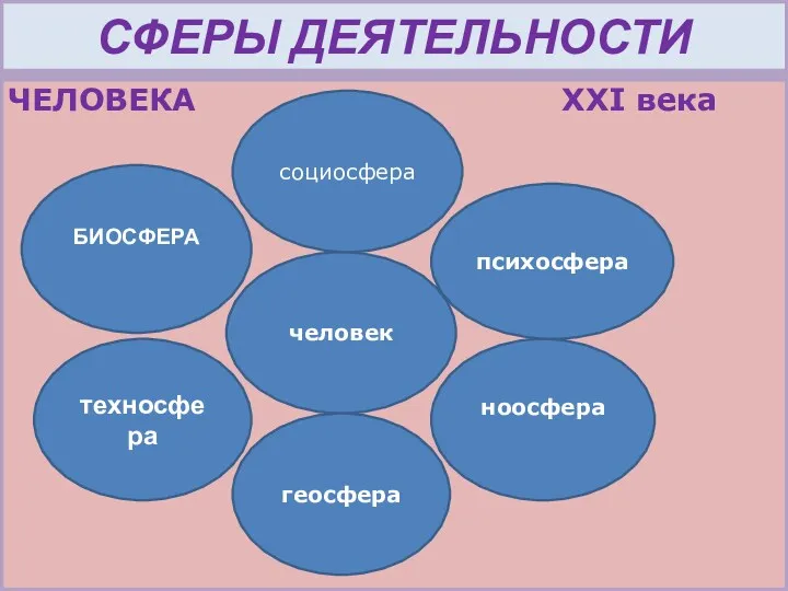 СФЕРЫ ДЕЯТЕЛЬНОСТИ ЧЕЛОВЕКА ХХI века человек социосфера геосфера ноосфера БИОСФЕРА техносфера психосфера