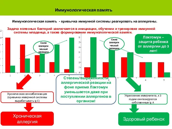 Степень выраженности аллергической реакции на фоне приема Лактомун уменьшается даже