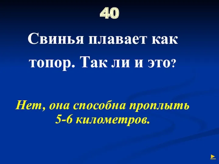 40 Свинья плавает как топор. Так ли и это? Нет, она способна проплыть 5-6 километров. ►