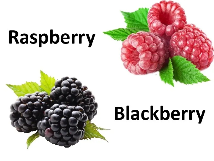 Raspberry Blackberry