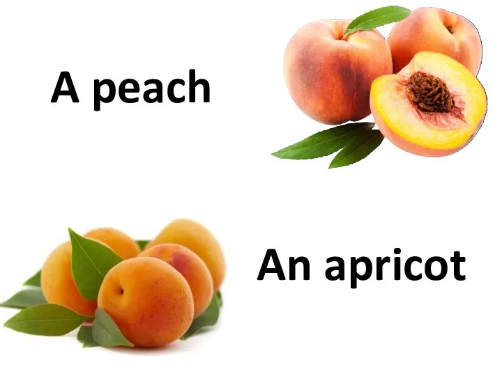 A peach An apricot