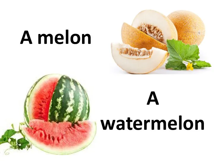 A melon A watermelon