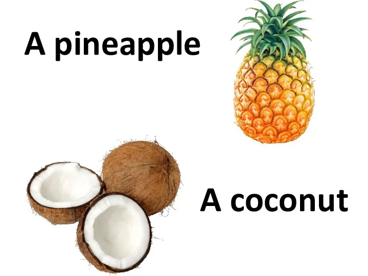 A pineapple A coconut