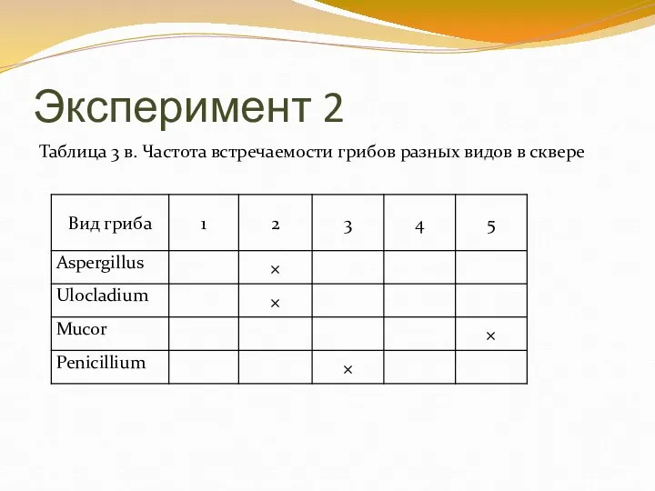 Эксперимент 2 Таблица 3 в. Частота встречаемости грибов разных видов в сквере