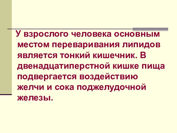 У взрослого человека основным местом переваривания липидов является тонкий кишечник.