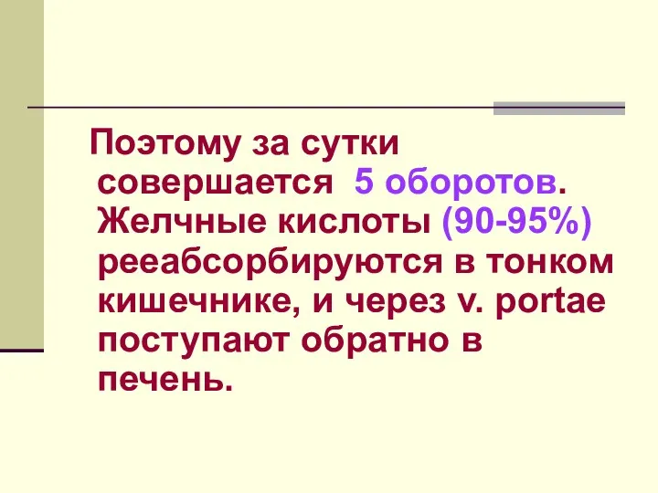 Поэтому за сутки совершается 5 оборотов. Желчные кислоты (90-95%) рееабсорбируются