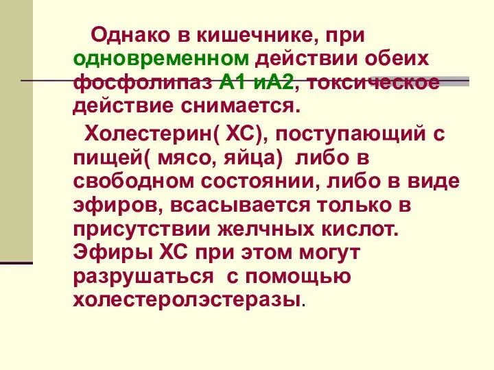 Однако в кишечнике, при одновременном действии обеих фосфолипаз А1 иА2,