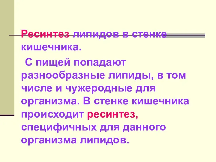 Ресинтез липидов в стенке кишечника. С пищей попадают разнообразные липиды,