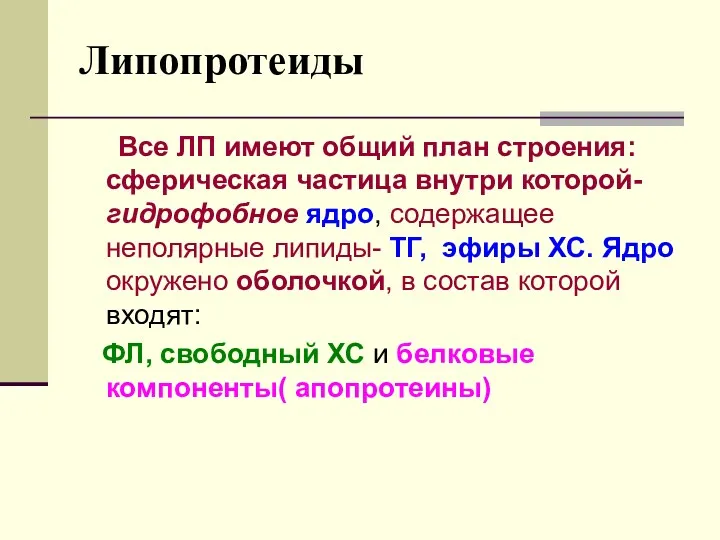 Липопротеиды Все ЛП имеют общий план строения: сферическая частица внутри