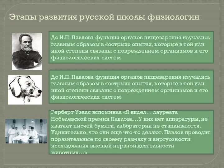 Этапы развития русской школы физиологии До И.П. Павлова функция органов