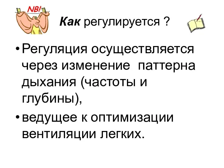 Как регулируется ? Регуляция осуществляется через изменение паттерна дыхания (частоты и глубины), ведущее