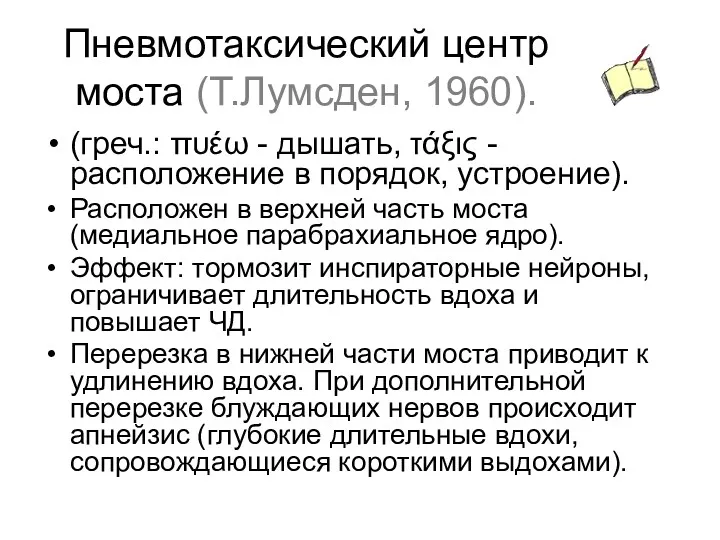 Пневмотаксический центр моста (Т.Лумсден, 1960). (греч.: πυέω - дышать, τάξις