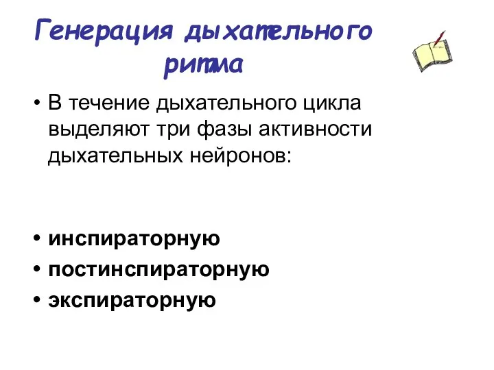 Генерация дыхательного ритма В течение дыхательного цикла выделяют три фазы активности дыхательных нейронов: инспираторную постинспираторную экспираторную