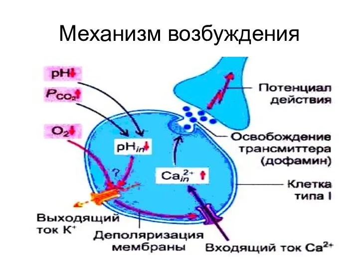 Механизм возбуждения