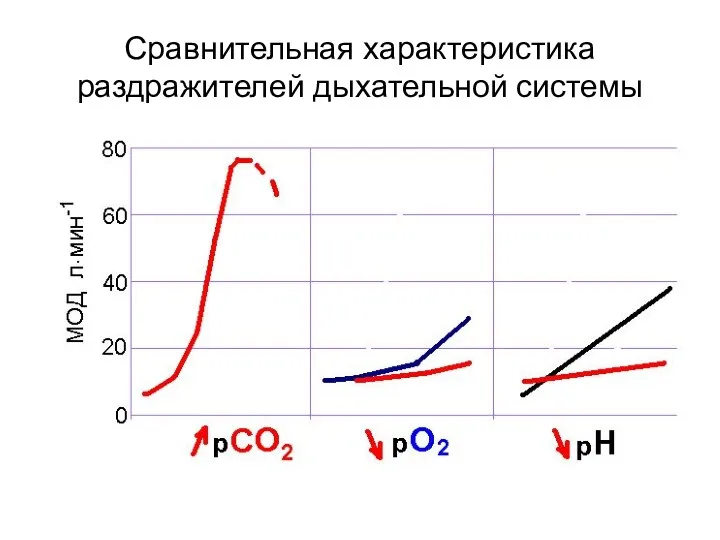 Сравнительная характеристика раздражителей дыхательной системы