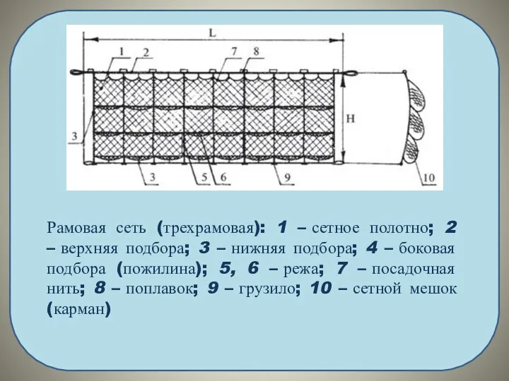 Рамовая сеть (трехрамовая): 1 – сетное полотно; 2 – верхняя