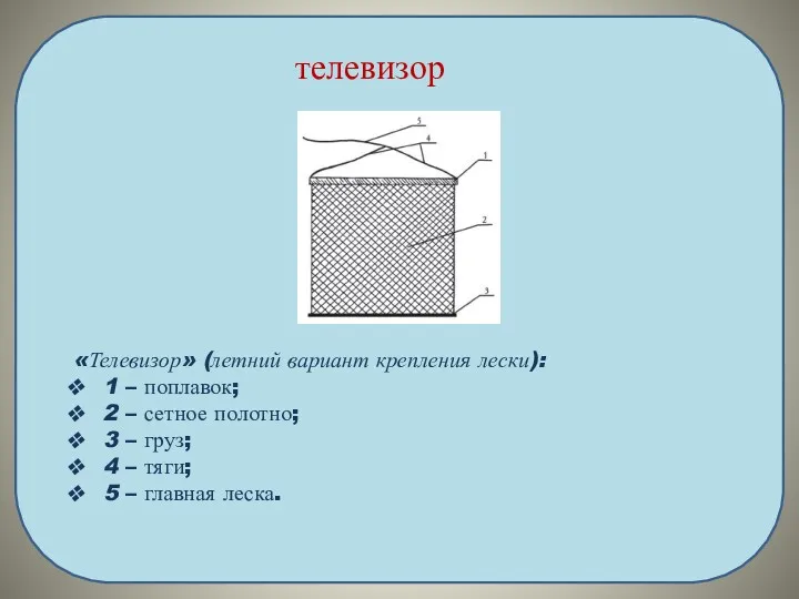 телевизор «Телевизор» (летний вариант крепления лески): 1 – поплавок; 2