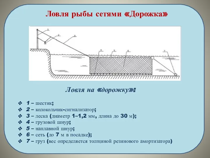 Ловля рыбы сетями «Дорожка» Ловля на «дорожку»: 1 – шестик;