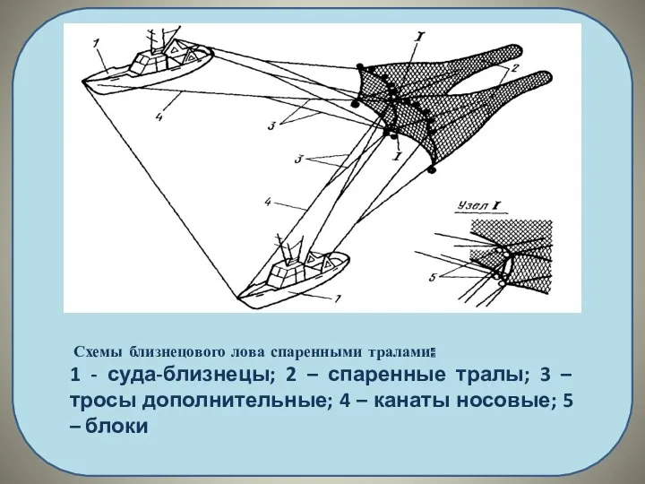 Схемы близнецового лова спаренными тралами: 1 - суда-близнецы; 2 –