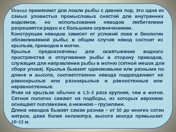 Невода применяют для ловли рыбы с давних пор, это одна