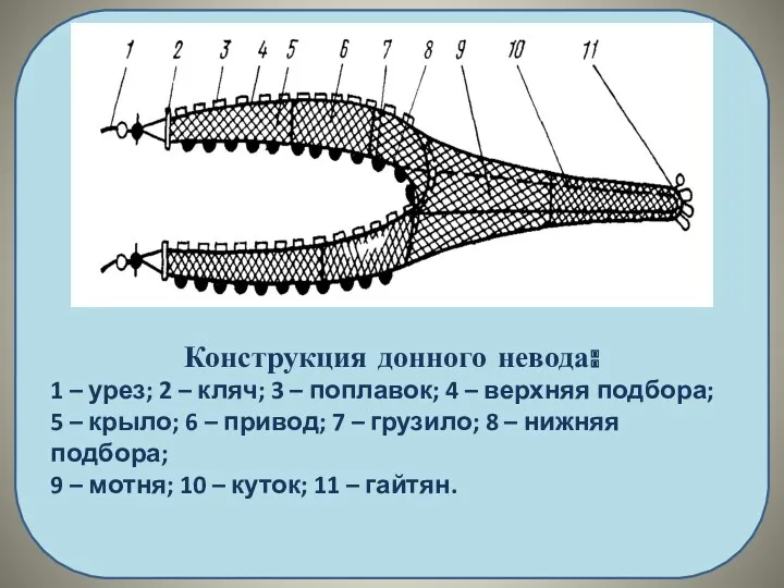 Конструкция донного невода: 1 – урез; 2 – кляч; 3