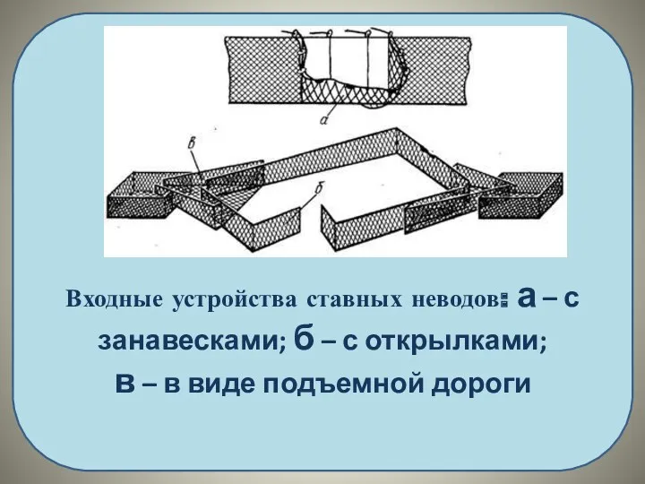 Входные устройства ставных неводов: а – с занавесками; б –