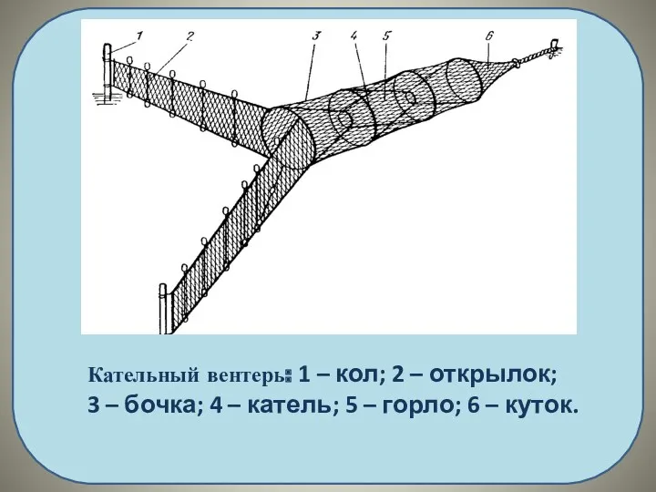 Кательный вентерь: 1 – кол; 2 – открылок; 3 –