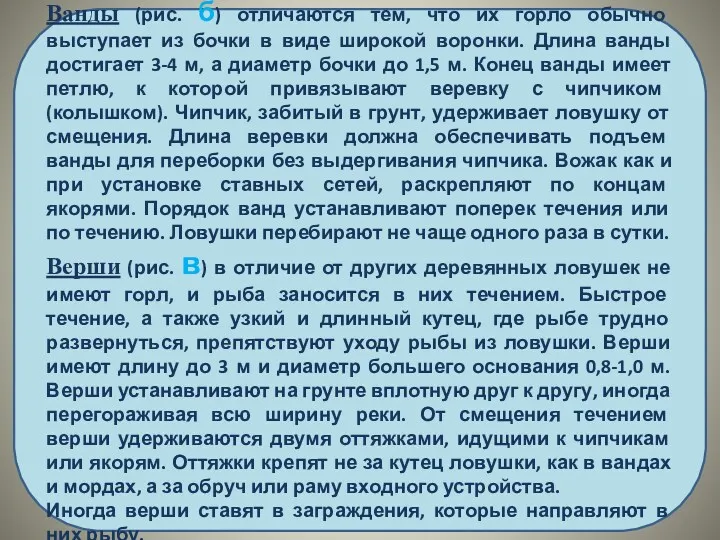 Ванды (рис. б) отличаются тем, что их горло обычно выступает