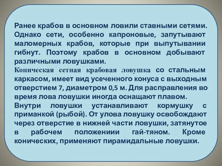 Ранее крабов в основном ловили ставными сетями. Однако сети, особенно