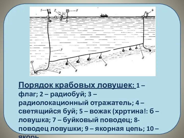 Порядок крабовых ловушек: 1 – флаг; 2 – радиобуй; 3