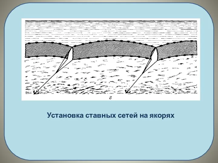 Установка ставных сетей на якорях