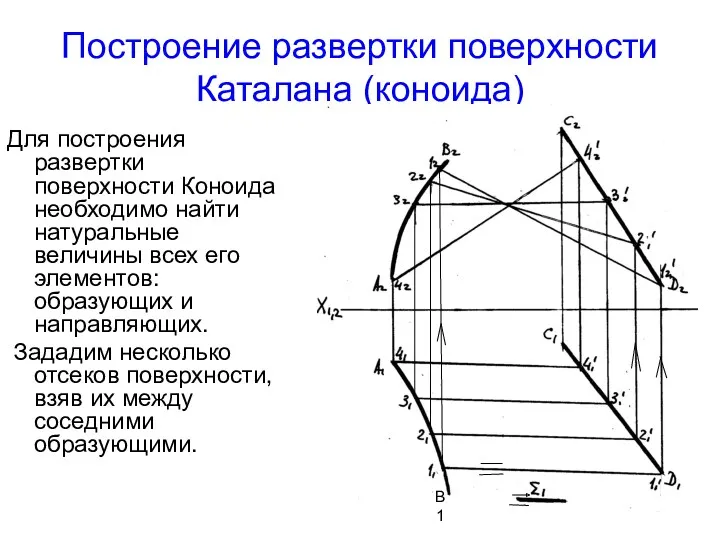 Построение развертки поверхности Каталана (коноида) Для построения развертки поверхности Коноида