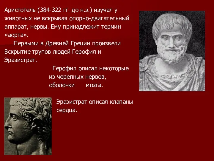 Аристотель (384-322 гг. до н.э.) изучал у животных не вскрывая