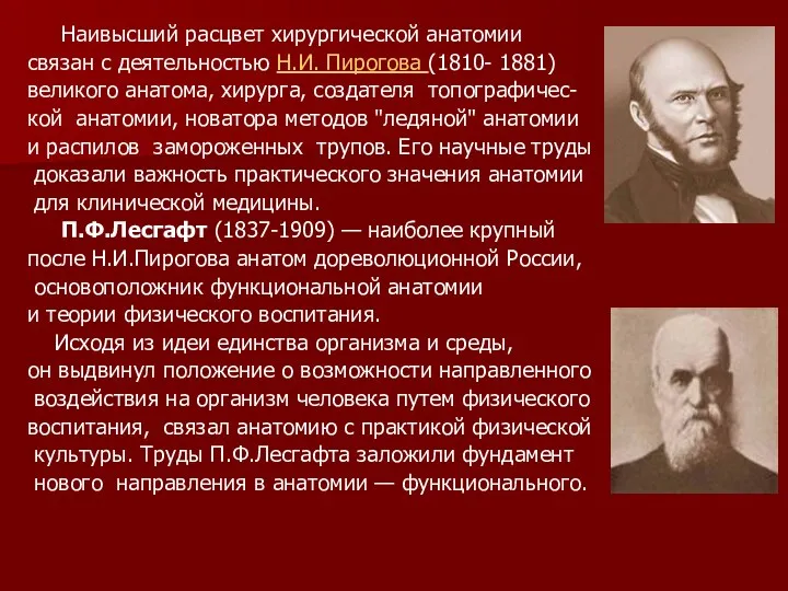 Наивысший расцвет хирургической анатомии связан с деятельностью Н.И. Пирогова (1810-