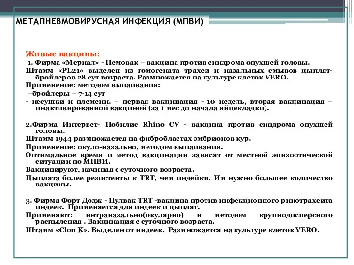 МЕТАПНЕВМОВИРУСНАЯ ИНФЕКЦИЯ (МПВИ) Живые вакцины: 1. Фирма «Мериал» - Немовак