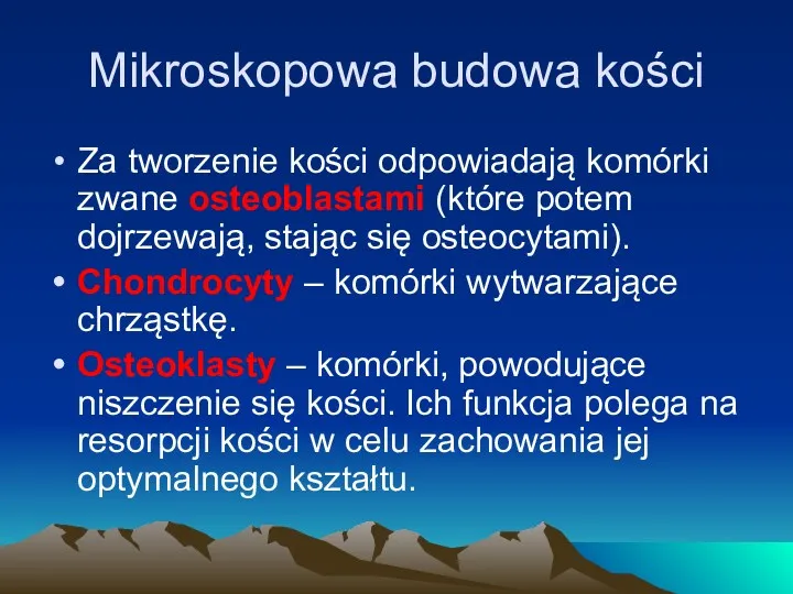 Mikroskopowa budowa kości Za tworzenie kości odpowiadają komórki zwane osteoblastami