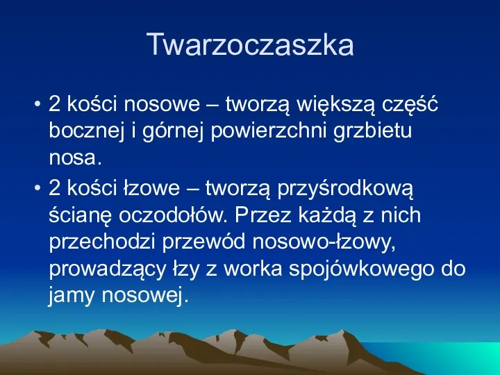 Twarzoczaszka 2 kości nosowe – tworzą większą część bocznej i