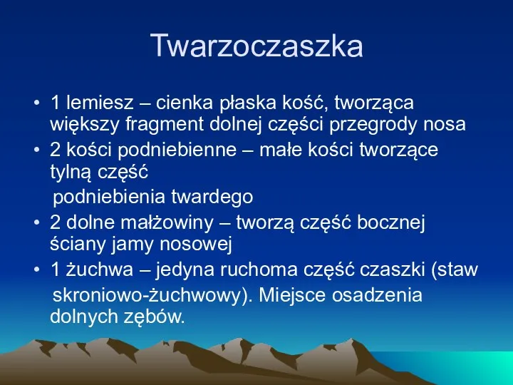 Twarzoczaszka 1 lemiesz – cienka płaska kość, tworząca większy fragment