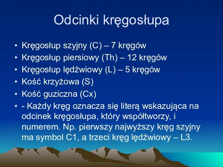 Odcinki kręgosłupa Kręgosłup szyjny (C) – 7 kręgów Kręgosłup piersiowy