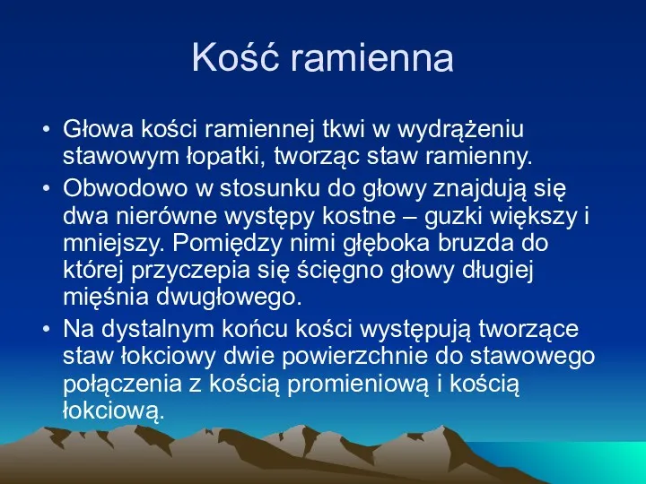 Kość ramienna Głowa kości ramiennej tkwi w wydrążeniu stawowym łopatki,